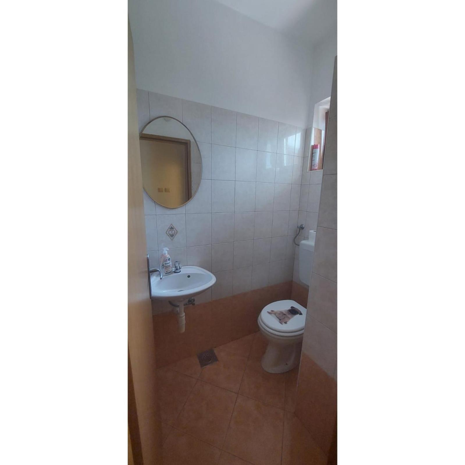 Apartman Dino Roč Eksteriør billede