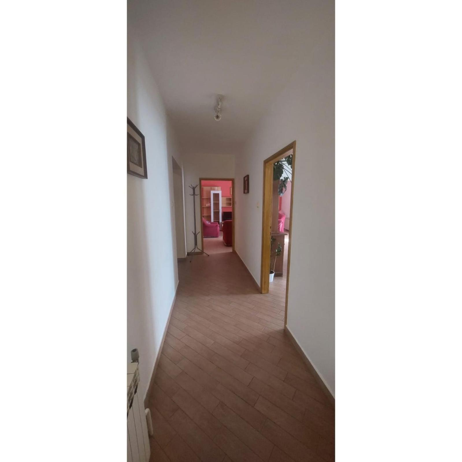 Apartman Dino Roč Eksteriør billede